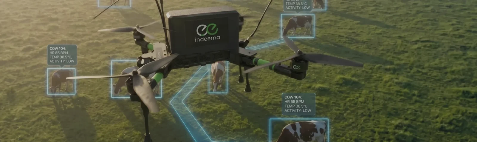 An Indeema-branded drone over a field, with detection boxes and telemetry labels on the livestock below