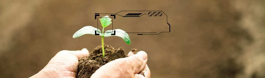 Hands holding soil with a seedling, framed by a digital scanning overlay