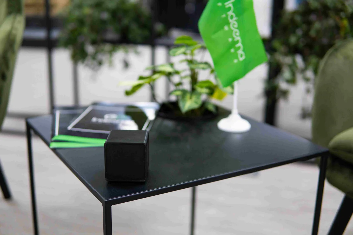 Small black cube device on a black side table beside a plant, an Indeema desk flag and printed brochures