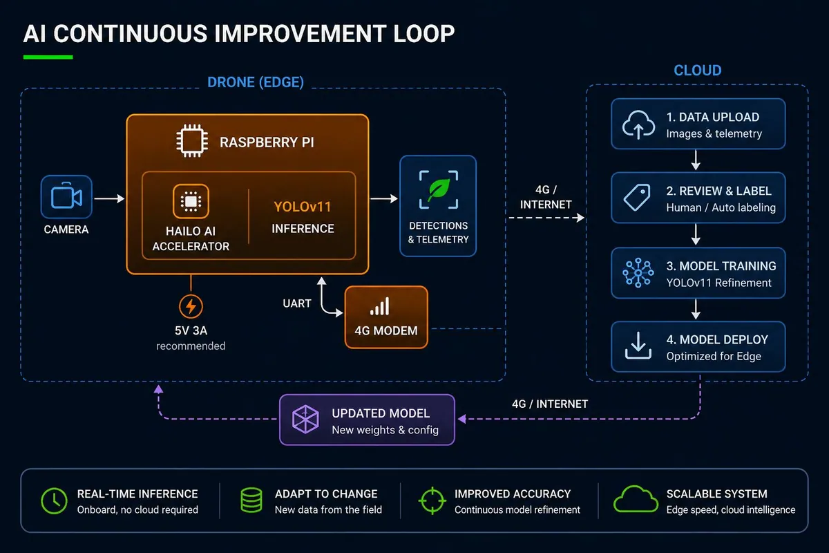 Diagram of the AI continuous improvement loop: camera, Raspberry Pi with Hailo accelerator running YOLOv11, 4G upload, cloud labelling, training and model deployment back to the drone