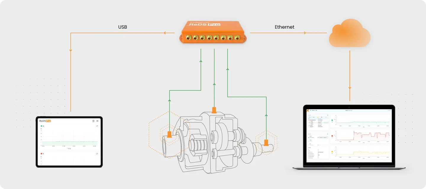 iReDS system diagram showing sensor inputs, diagnostic hardware, USB and Ethernet connections, cloud processing and user interfaces.