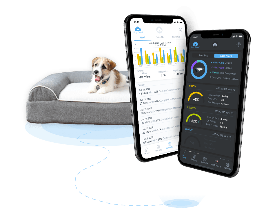 Mobile IoT Solution for controlling Massage Beds for Dogs